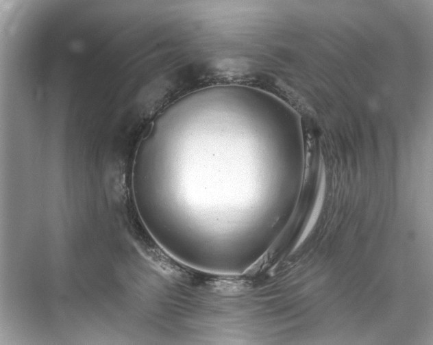 X0000076070615200609291318
