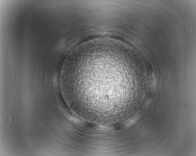 X0000076070623200609291318