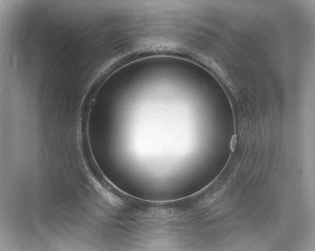 X0000076070629200609291318