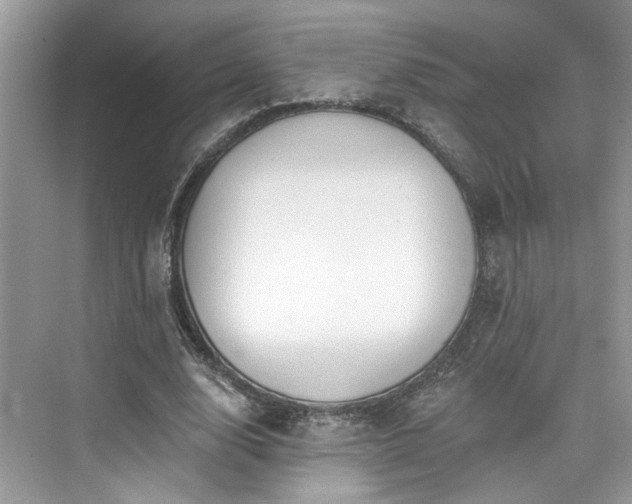 X0000076070632200609291318