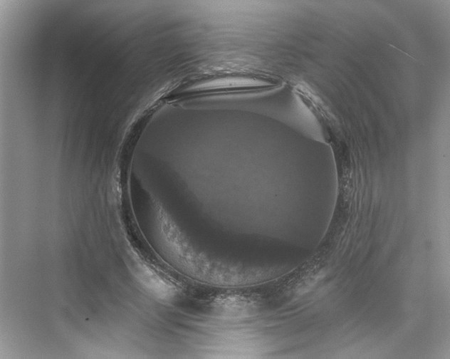 X0000076070634200609291318