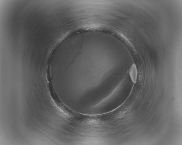 X0000076070637200609291318