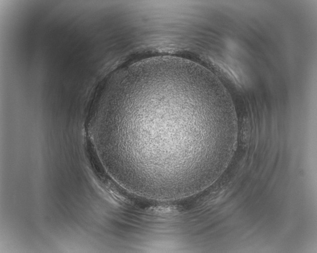 X0000076070639200609291318
