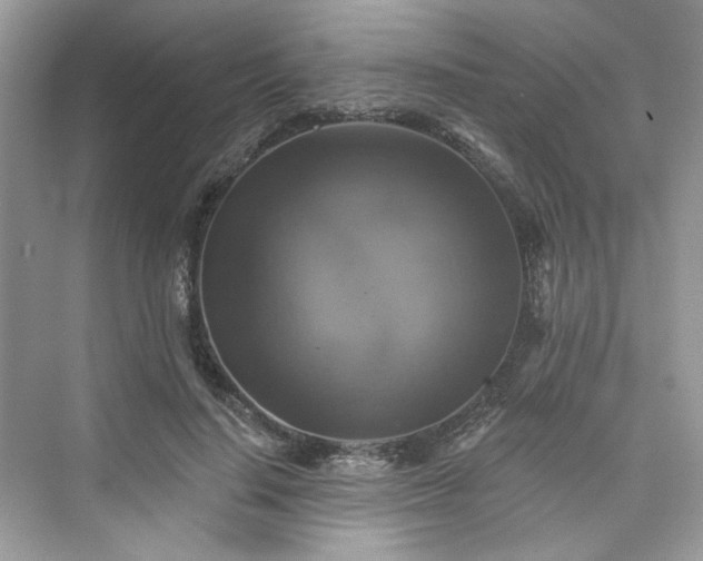X0000076070644200609291318