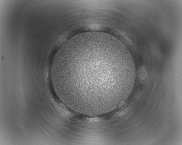 X0000076070645200609291318