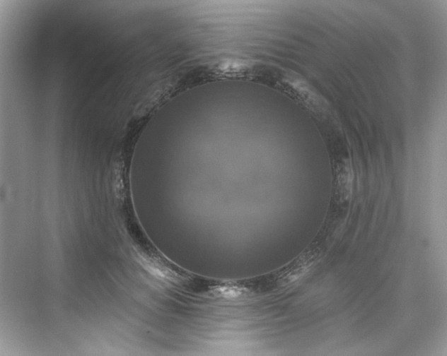X0000076070654200609291318