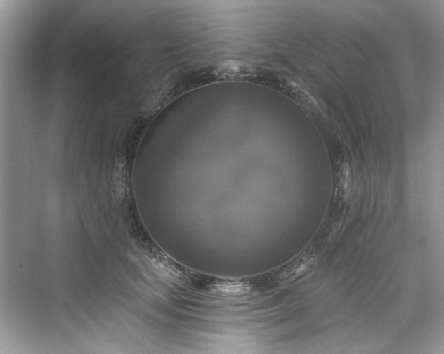 X0000076070659200609291318