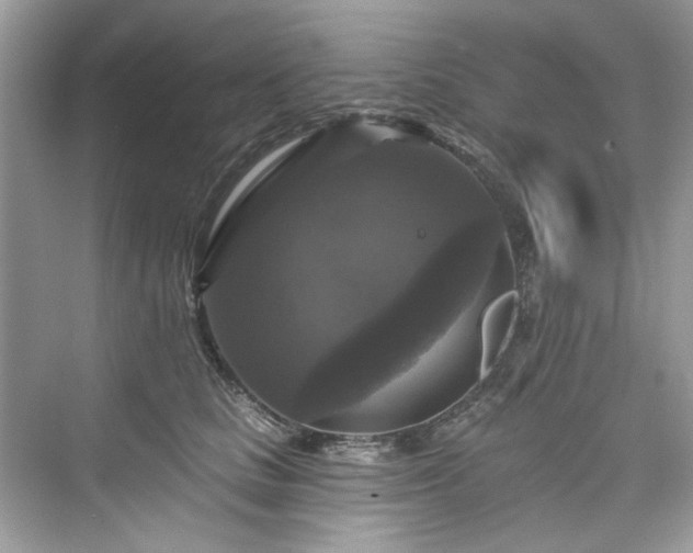 X0000076070661200609291318