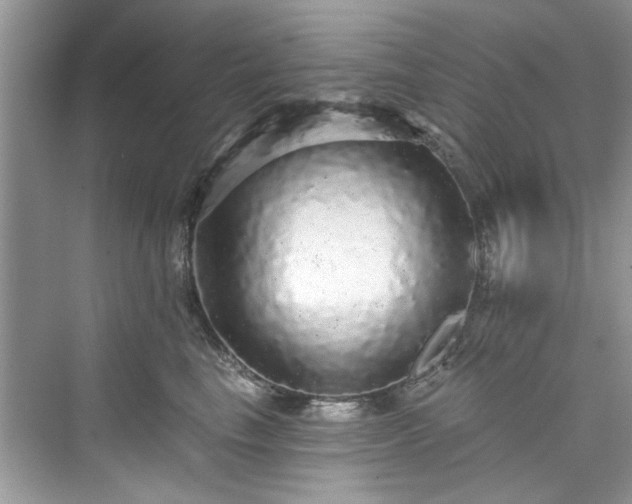 X0000076070665200609291318