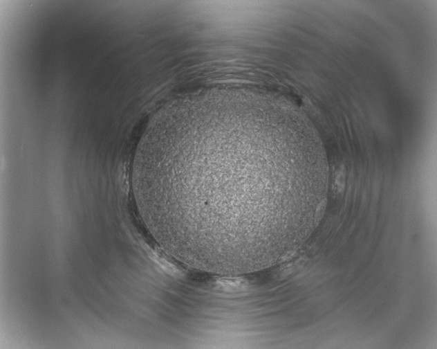 X0000076070666200609291318