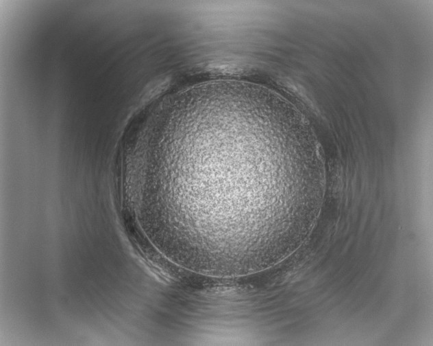 X0000076070738200609291316
