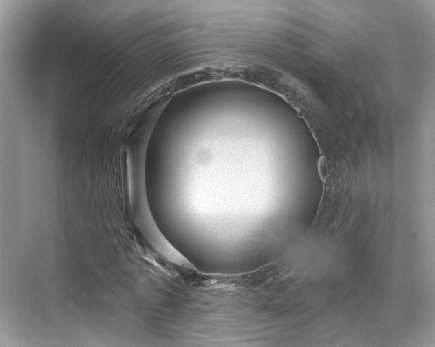 X0000076070773200609291316