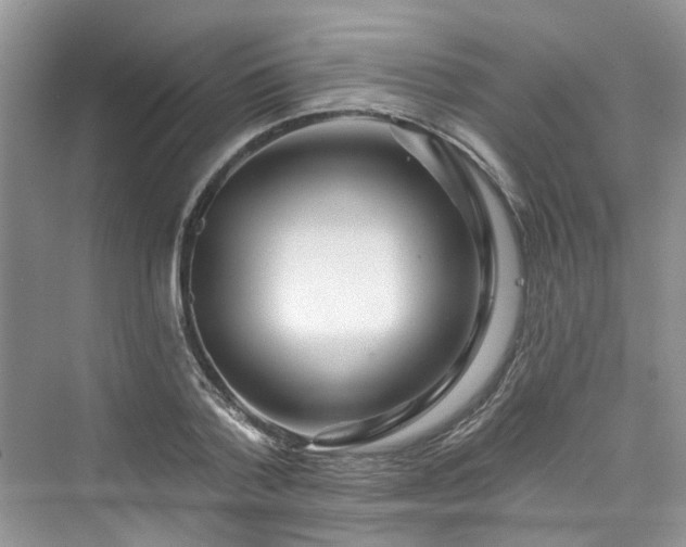 X0000076070788200609291316