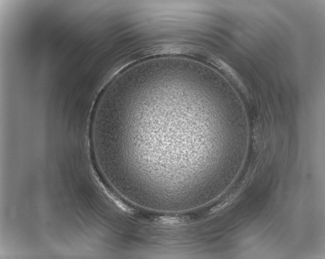X0000076070794200609291315