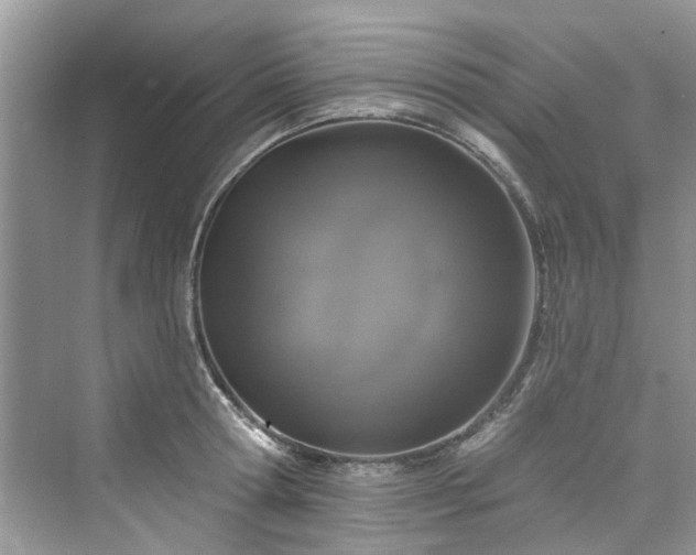 X0000076070802200609291315