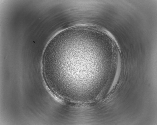 X0000076070811200609291315
