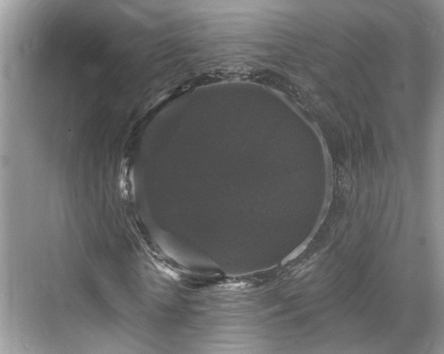 X0000076070818200609291314
