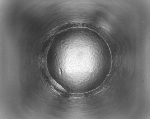 X0000076070821200609291314