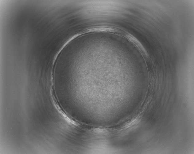 X0000076070852200609291315