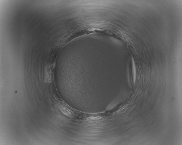 X0000076070868200609291314