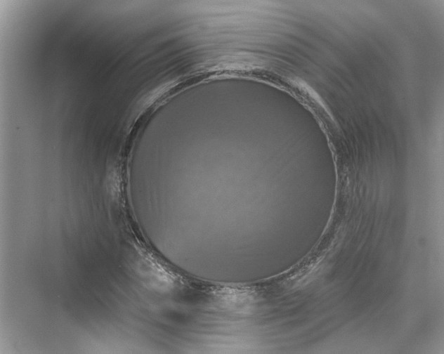 X0000076070874200609291314