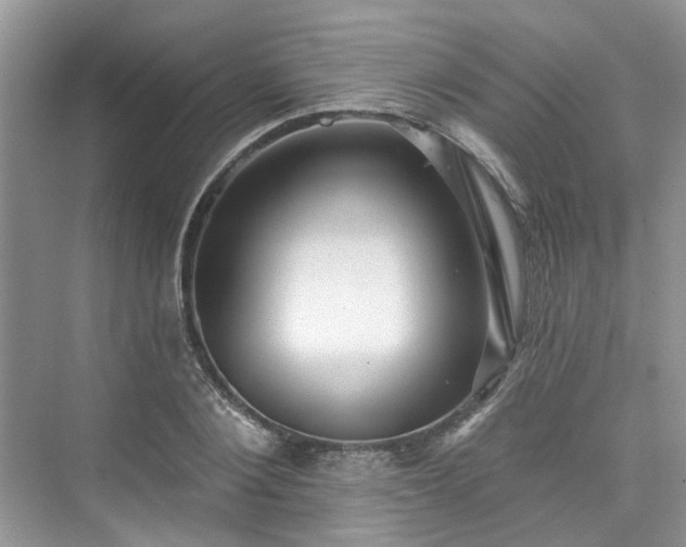 X0000076070884200609291314