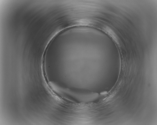 X0000076070899200609291314