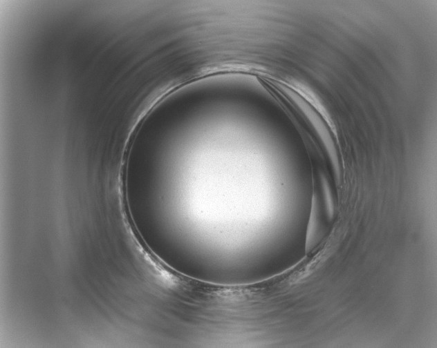 X0000076070906200609291314