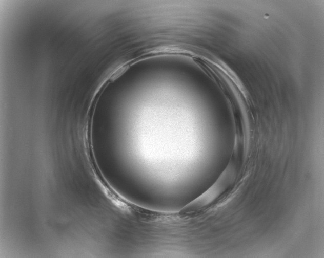 X0000076070909200609291314