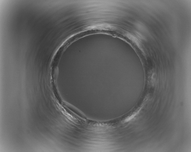 X0000076070923200609291313