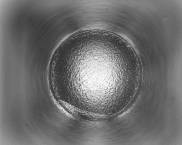 X0000076070949200609291313