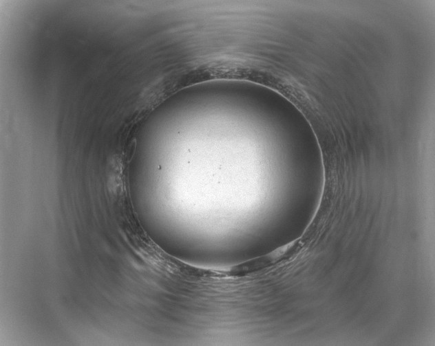 X0000076070964200609291313