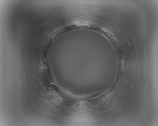 X0000076070966200609291313