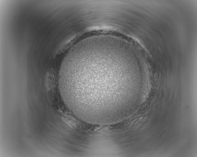 X0000076070967200609291313