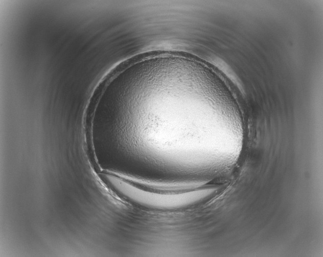 X0000076070972200609291312