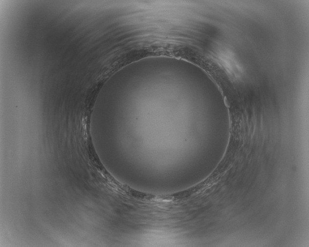 X0000076071013200609291311