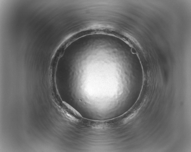X0000076071021200609291311