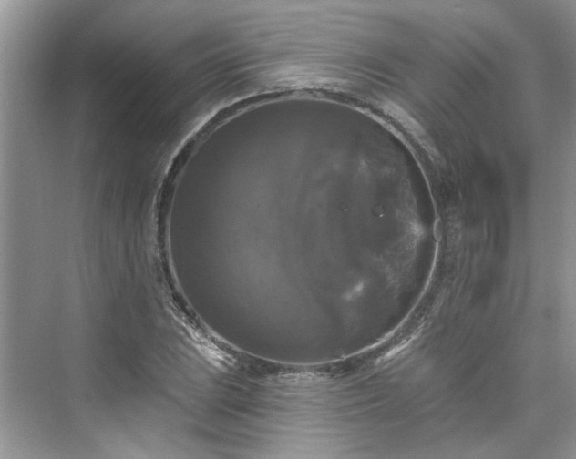 X0000076071023200609291311