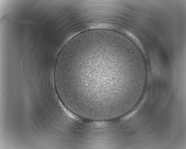 X0000076071041200609291312