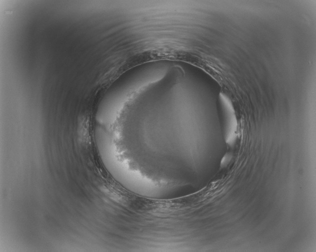 X0000076071060200609291311