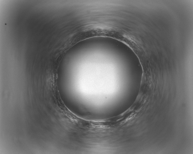 X0000076071061200609291311