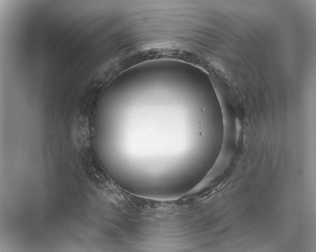 X0000076071062200609291311
