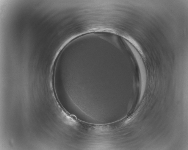 X0000076071102200609291310