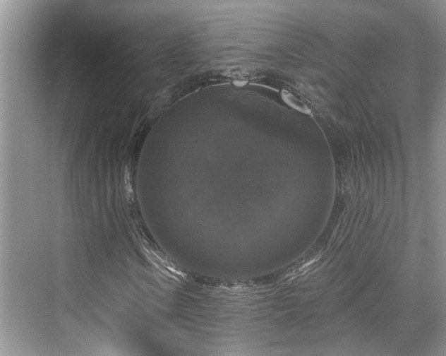 X0000076071106200609291309