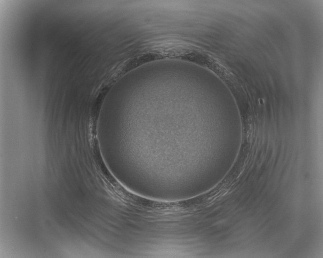 X0000076071108200609291309