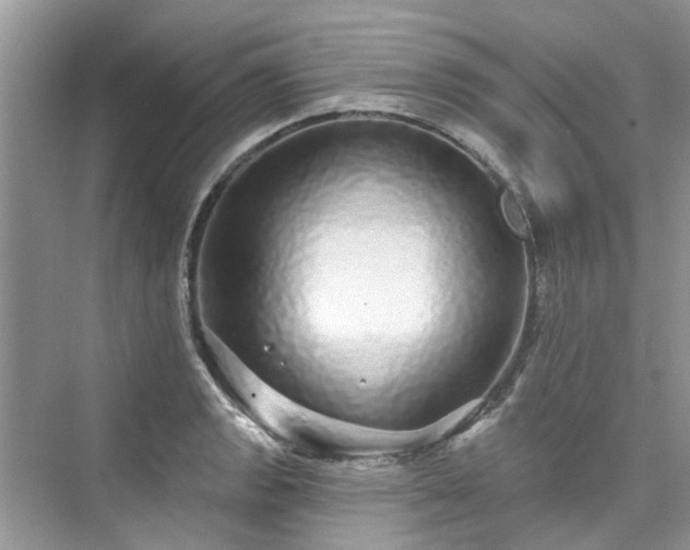 X0000076071133200609291310