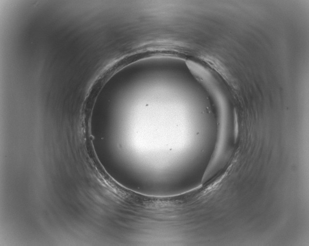 X0000076071164200609291309