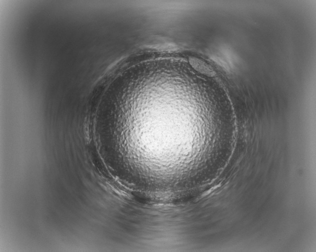 X0000076071205200609291308