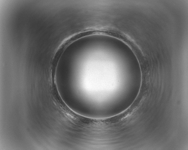 X0000076071214200609291308