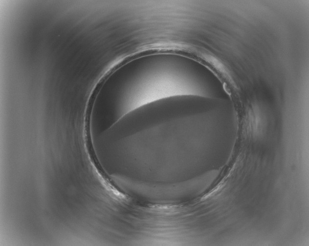 X0000076071229200609291308